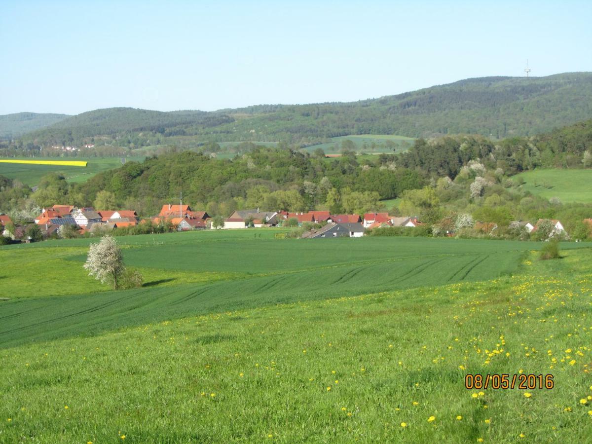 Ferienwohnung Fackiner Gemunden an der Wohra Bagian luar foto